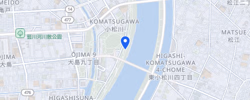 第86回スポーツメイトラン東大島小松川公園ハーフマラソン【計測チップ有り】