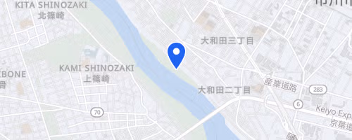 第89回 UPRUN市川江戸川ハーフマラソン