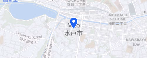 第11回水戸黄門漫遊マラソン