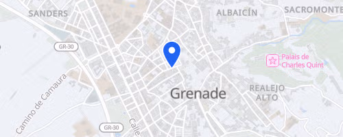Carrera Solidaria Ruta 091 - Granada
