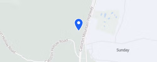 Catoctin 50k Trail Run & Half Cat