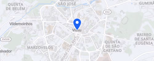 Viseu OCR Police