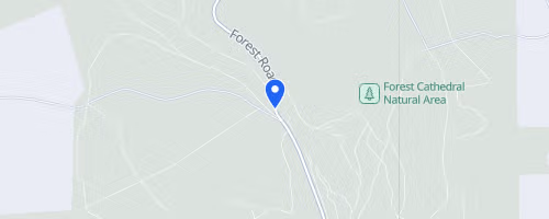 Cook Forest 25k Trail Challenge