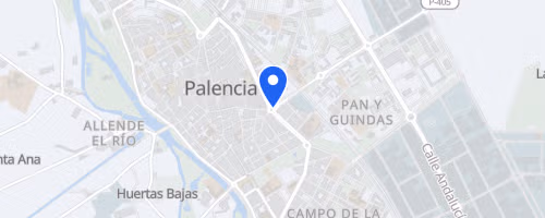Carrera Popular Avenida de Madrid