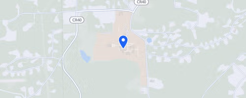 Revenge of the Red Baron Half Marathon and 5K