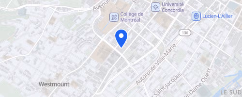 Demi-Marathon Lachine