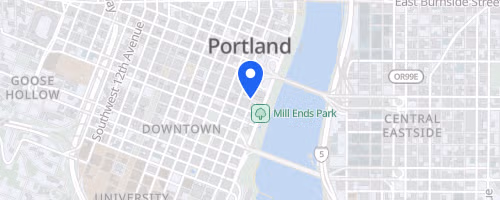 Portland Bridge Swim
