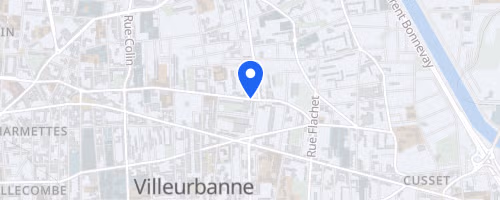 Cross de la feyssine - Villeurbanne