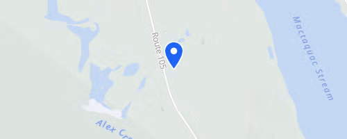 Mactaquac Trail Race