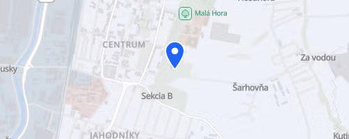 Martinský beh medikov