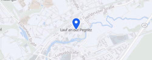 25. Altstadtfestlauf in Lauf
