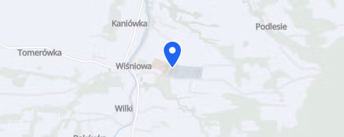 Festiwal biegowy im. K. Bubuli - Wiśniowa RUN