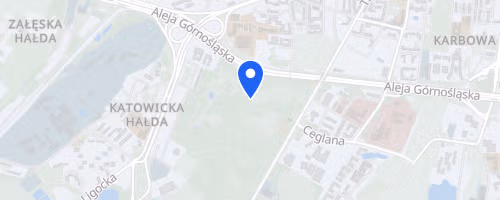 Bieg dla Aniolow VI Charytatywny Bieg z Okazji Dnia Dziecka