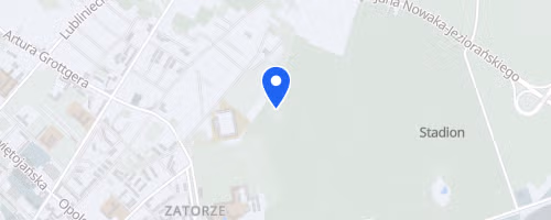 VI Maraton Pędziwiatra