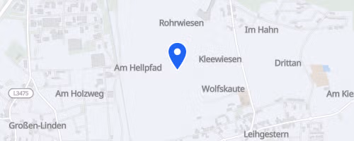 13. Leihgesterner Volkslauf