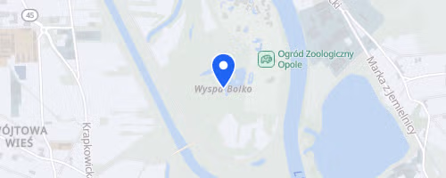 Charytatywny Bieg Z Żonkilem