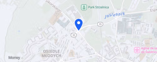Rst Polmaraton Swidnicki