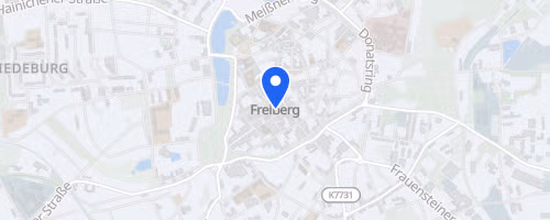 14. Freiberger Bürgerfestlauf