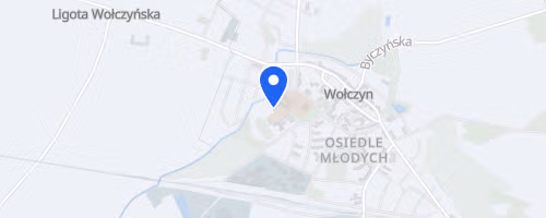 Bieg o Puchar Burmistrza Wołczyna