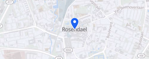 Halve Marathon van Roosendaal
