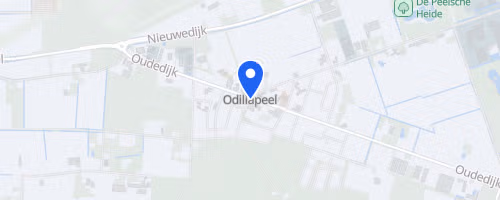 Streetrace Odiliapeel