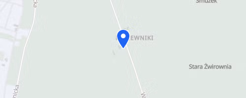 Zabiegany Rzgów