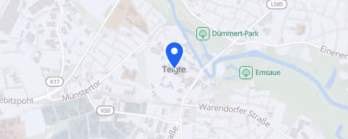 19. Volksbank-Citylauf Telgte