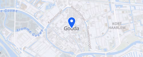 Goudse singelloop by Night