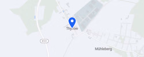 Thyrower Waldlauf