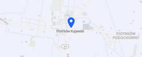 Piotrkowski Bieg Bankowy