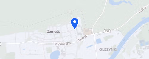 Bieg i Marsz Noworoczny Wronki