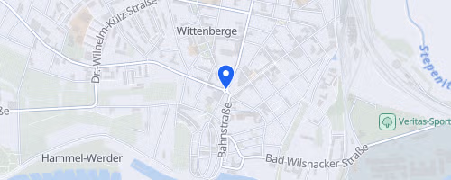 Elbstromschwimmen