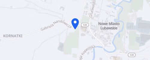 Bieg Nowomiejska Dycha Nowe Miasto Lubawskie