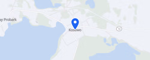 Bieg Śladami Łosia