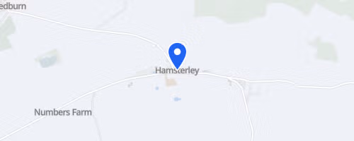 Hamsterley Forest Trail Run