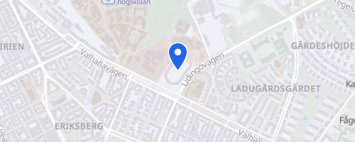 Stadionloppet