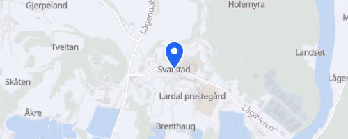 Pinåsløpet