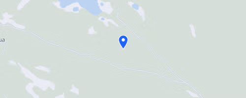Kongsvegløpet