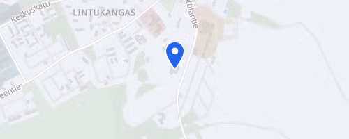 Maantiekisat