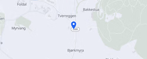 Trondheimsnatta