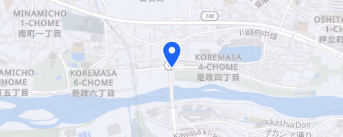 第47回スポーツメイトラン府中多摩川風の道マラソン【計測チップ有り】