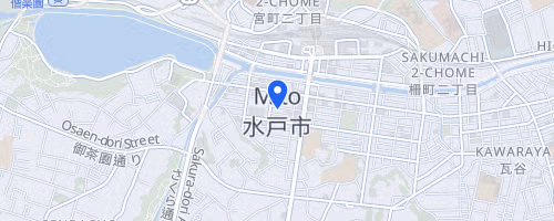 第11回水戸黄門漫遊マラソン