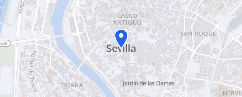 Carrera Nocturna del Alamillo