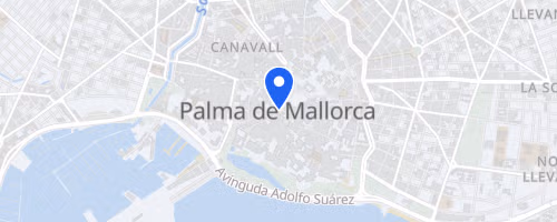 Carrera Solidaria Ruta 091 - Palma