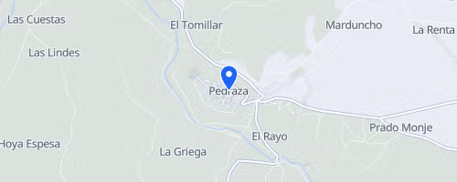Carrera Pedestre Las Lagartijas