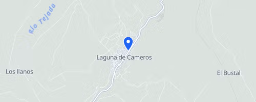 RTS - Camero Viejo