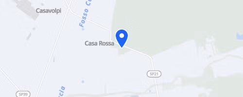 55° Sagra del Carciofo