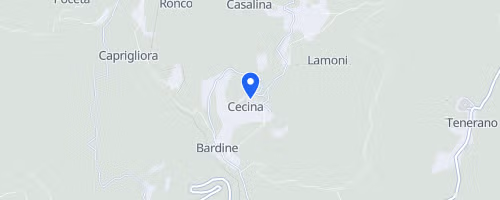14° CorriCecina