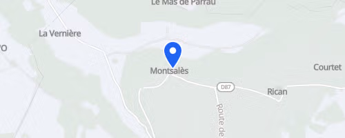 Course nocturne de Montsalès