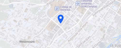 Demi-Marathon Lachine
